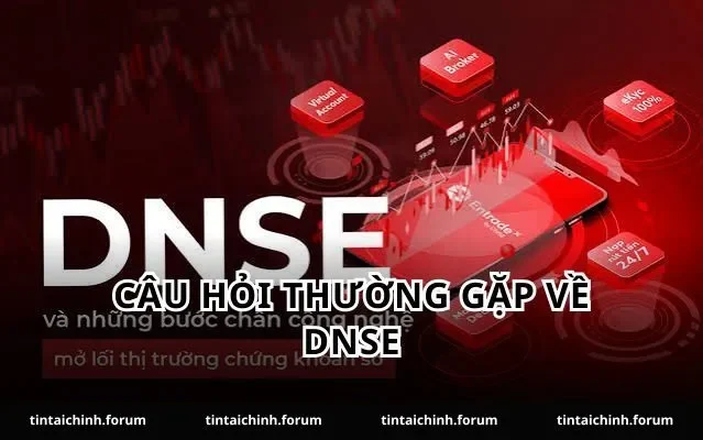 Câu hỏi thường gặp về DNSE